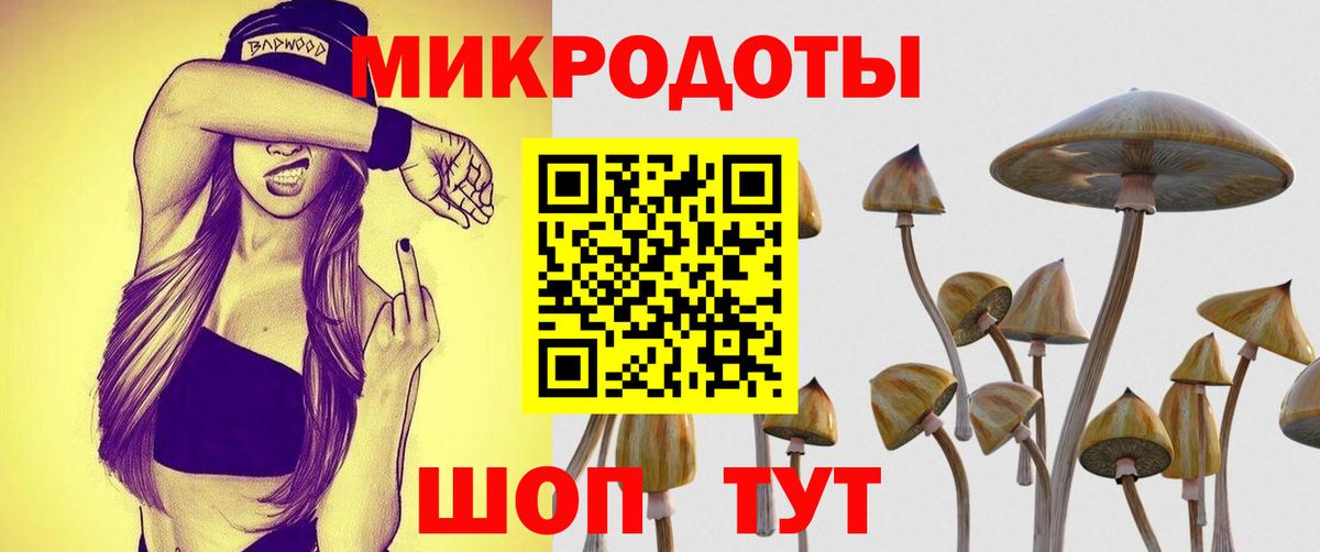 Галлюциногенные грибы мухоморы Трёхгорный
